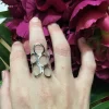 ANILLO GAIA - Imagen 2